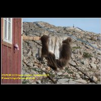 37678 08 111 Ittoqqortoormiit, Groenland 2019.jpg